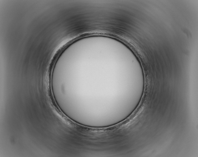 X0000112930982200908241050