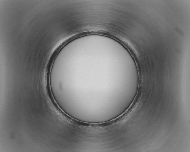 X0000112930983200908241050