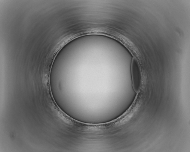 X0000112930985200908241050