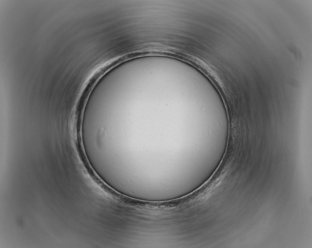 X0000112930987200908241050