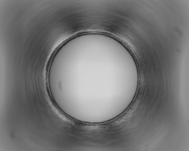 X0000112930990200908241050
