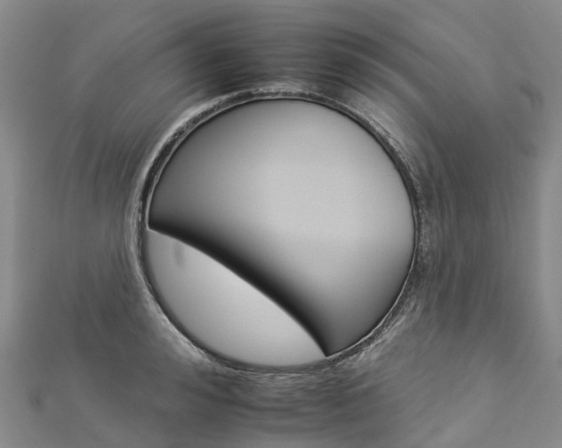 X0000112930992200908241050