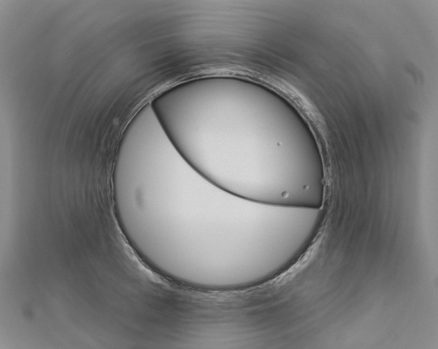 X0000112930993200908241050