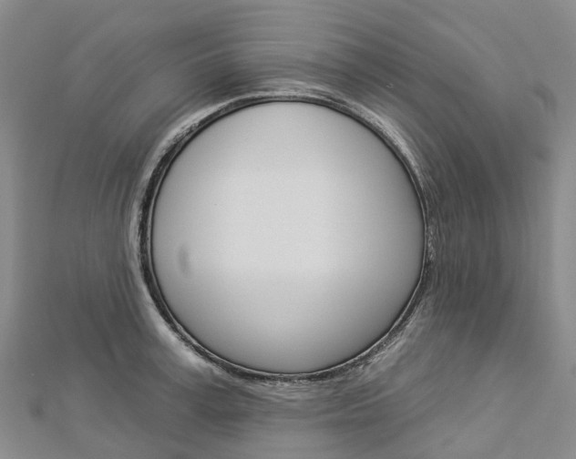 X0000112930995200908241050