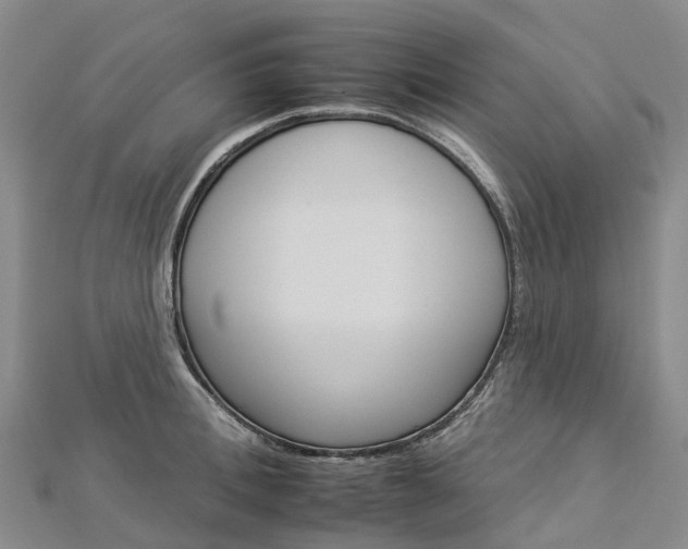 X0000112930996200908241050