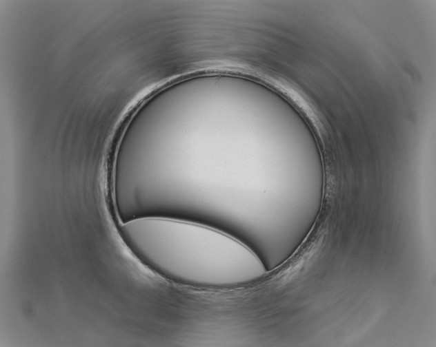 X0000112930999200908241050