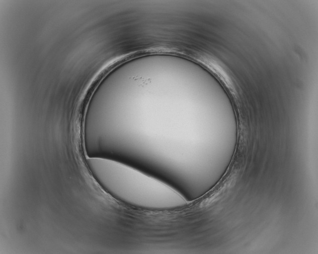 X0000112931000200908241050