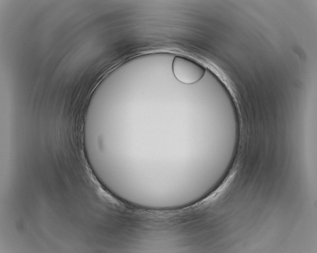 X0000112931001200908241050