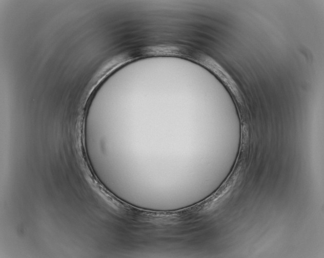 X0000112931002200908241050
