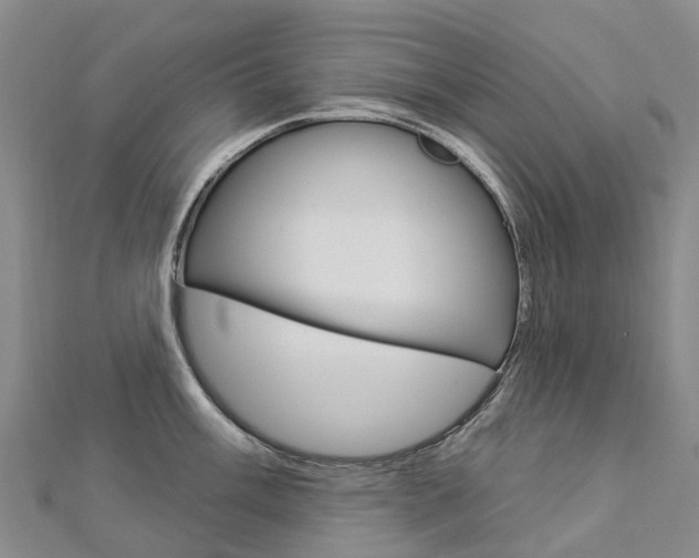 X0000112931003200908241050