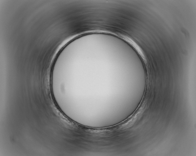 X0000112931004200908241050