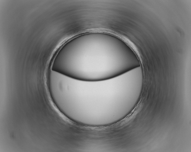 X0000112931005200908241050