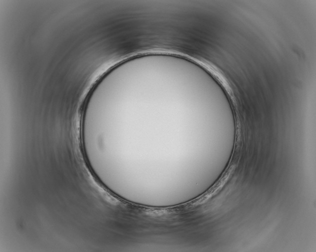 X0000112931006200908241050