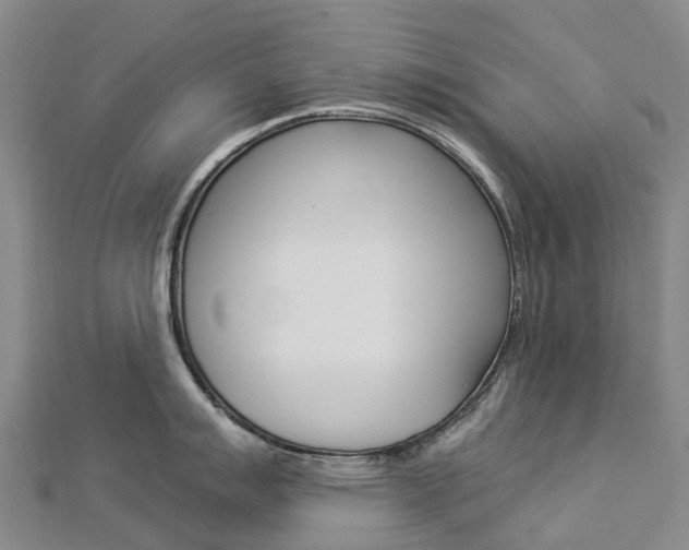 X0000112931007200908241050
