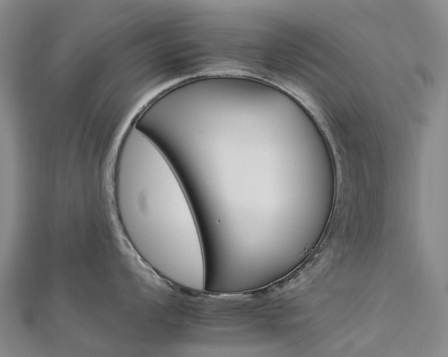 X0000112931008200908241050