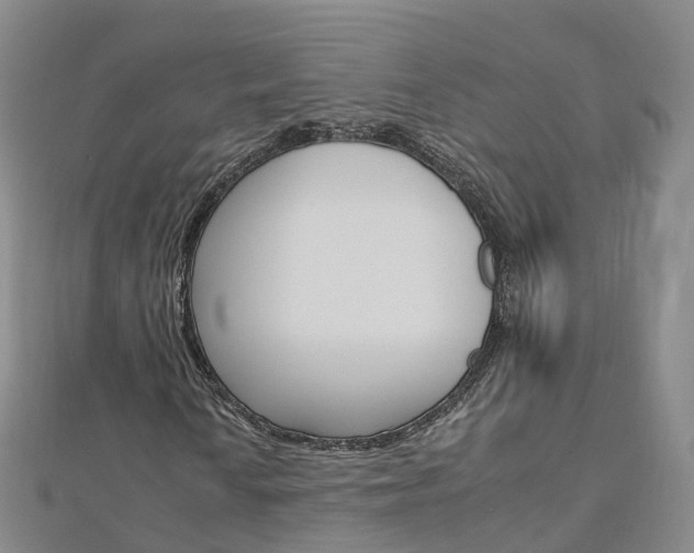 X0000112931010200908241049