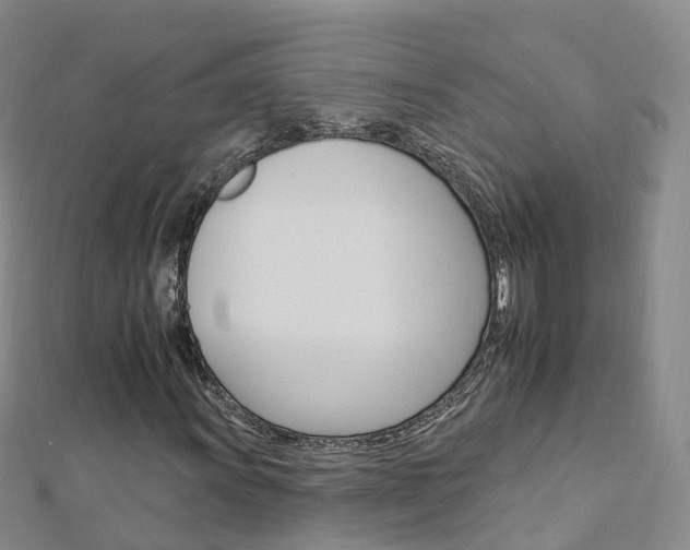 X0000112931011200908241049