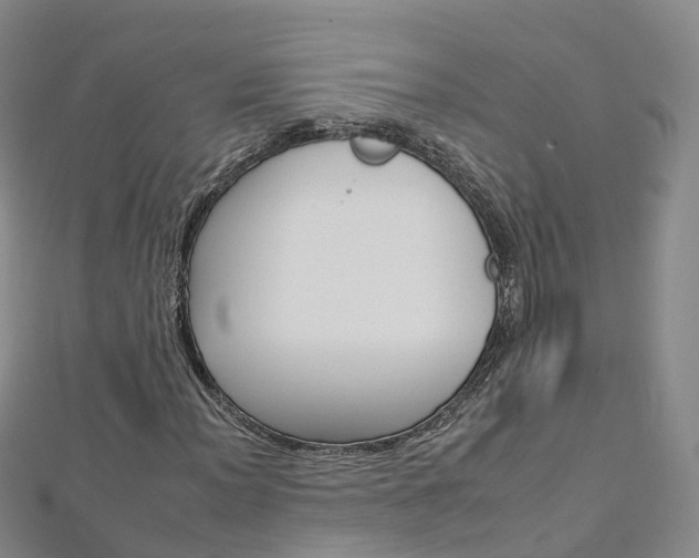X0000112931012200908241049