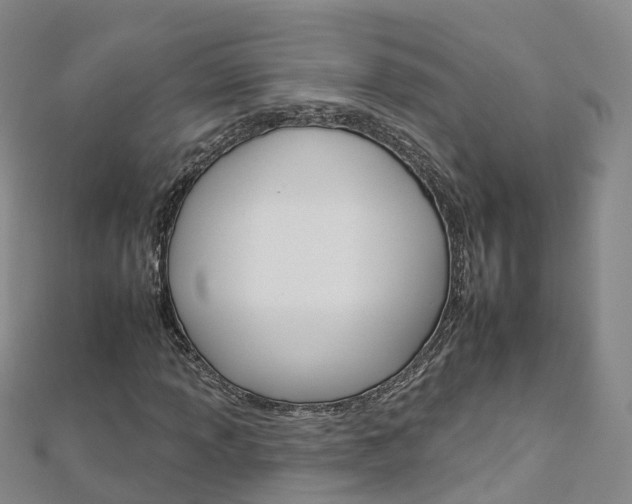 X0000112931013200908241049