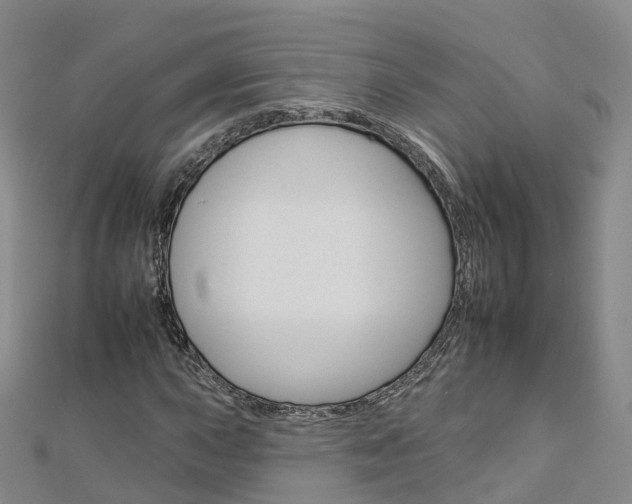 X0000112931015200908241049