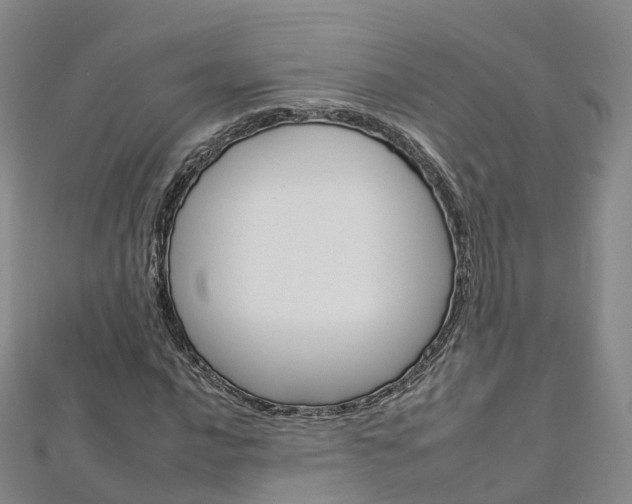 X0000112931016200908241049