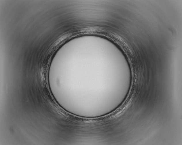 X0000112931017200908241049