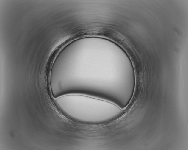 X0000112931018200908241049