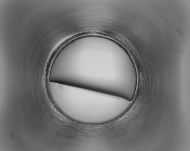 X0000112931020200908241049