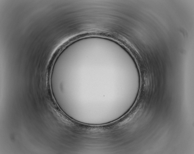 X0000112931021200908241049