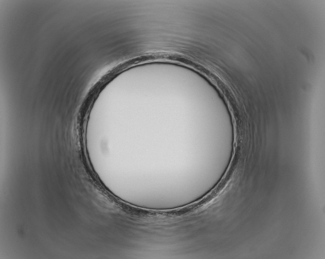 X0000112931022200908241049