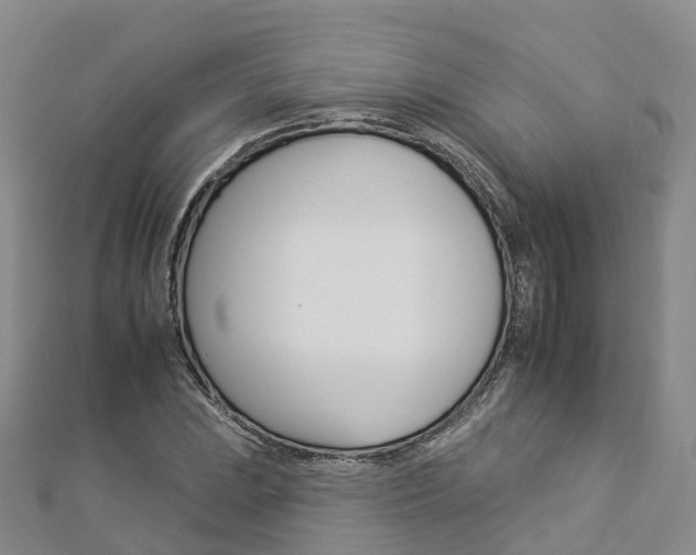 X0000112931023200908241049