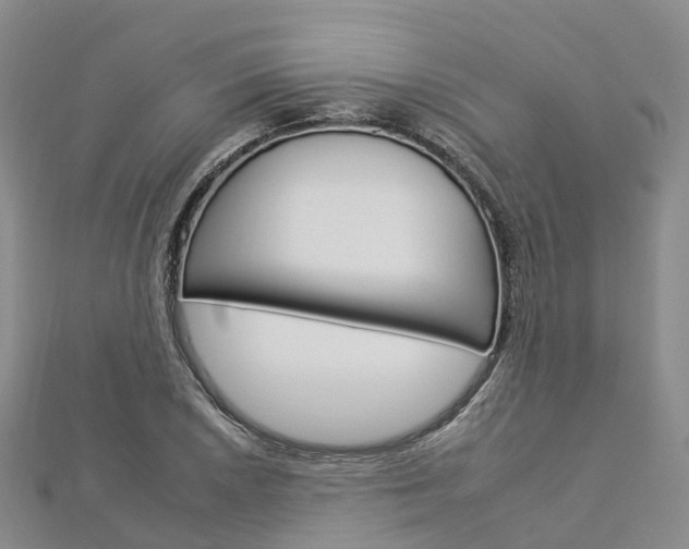 X0000112931026200908241049