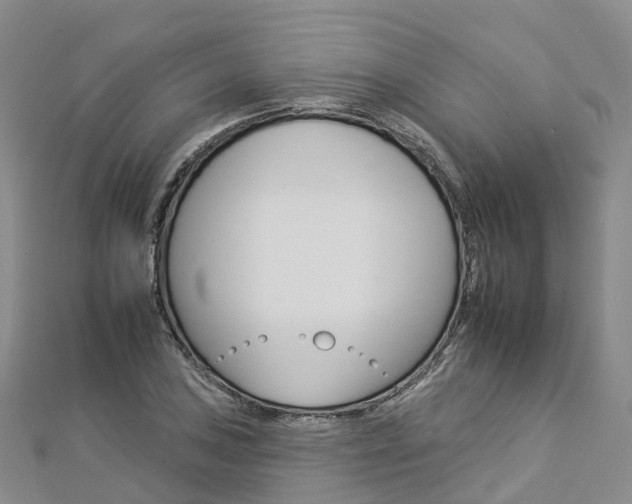 X0000112931027200908241049