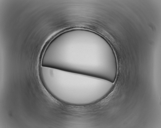 X0000112931028200908241049