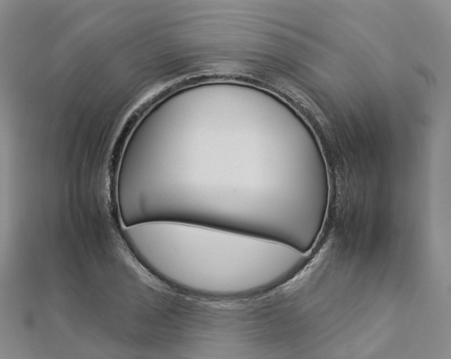 X0000112931029200908241049