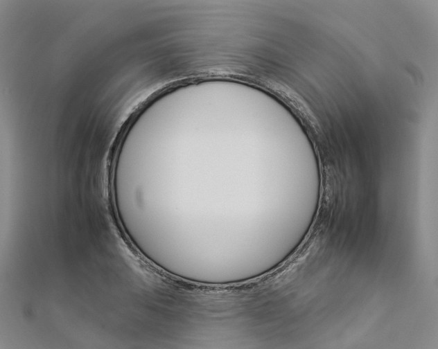 X0000112931031200908241049