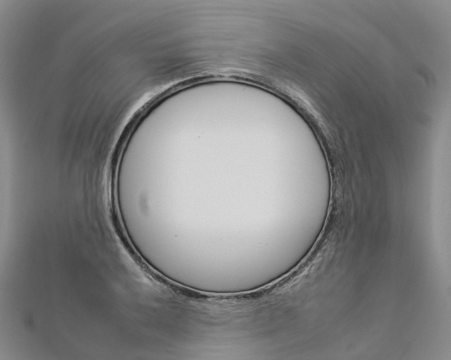 X0000112931032200908241049