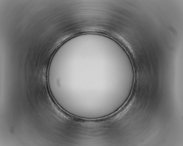 X0000112931033200908241049