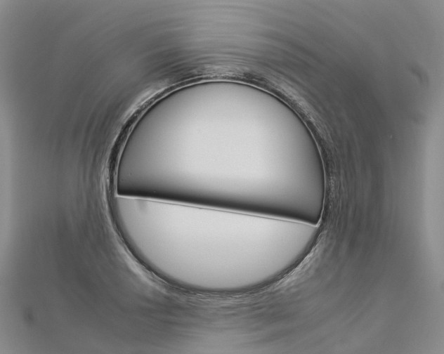 X0000112931034200908241049