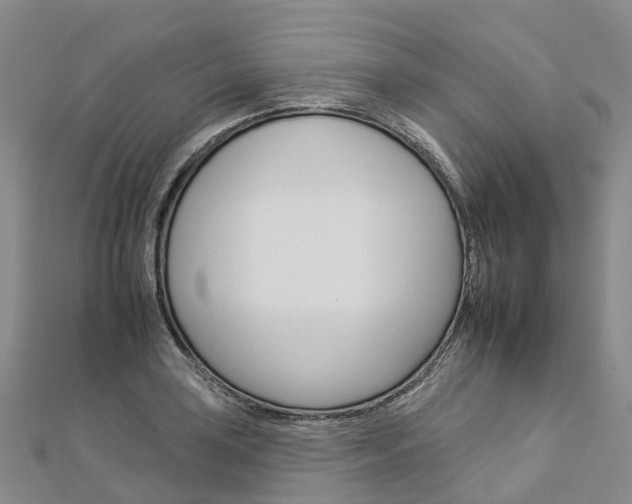 X0000112931035200908241049