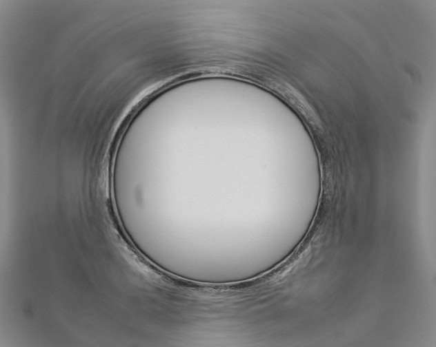 X0000112931036200908241049