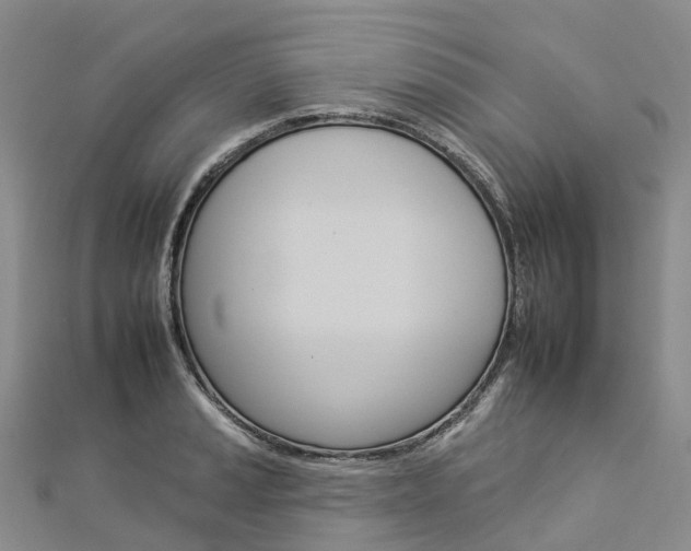 X0000112931037200908241049