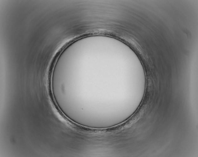 X0000112931038200908241049