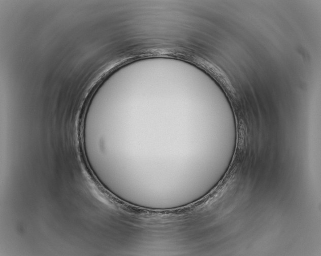 X0000112931039200908241049