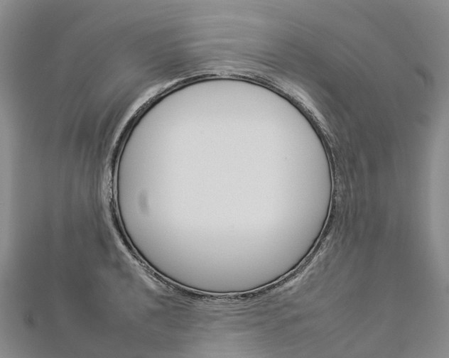 X0000112931040200908241049
