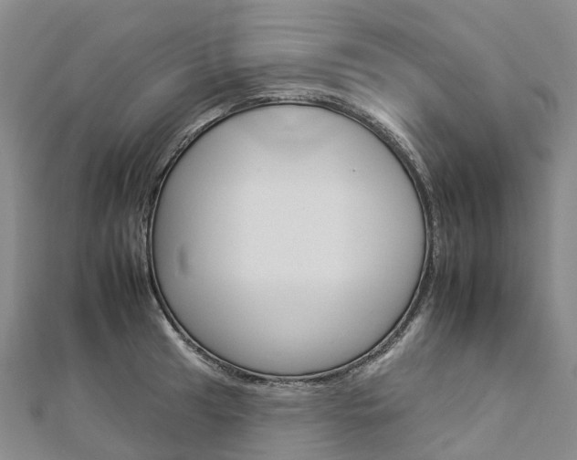 X0000112931041200908241049