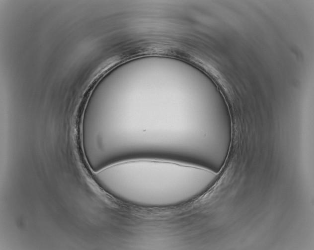 X0000112931042200908241049