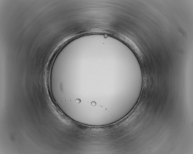 X0000112931043200908241049