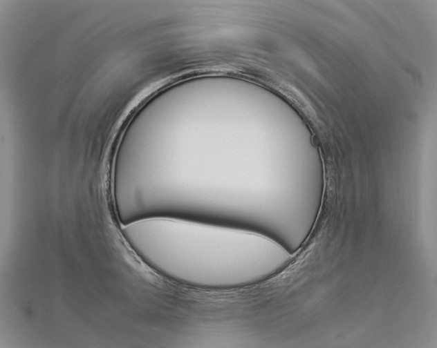 X0000112931044200908241049
