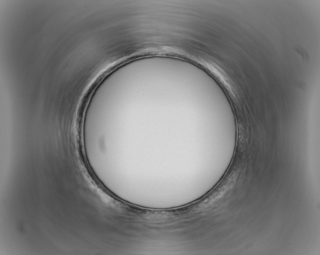 X0000112931046200908241049